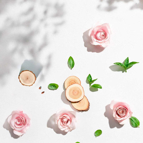 Floral and woody olfactory notes with roses, green leaves and wood