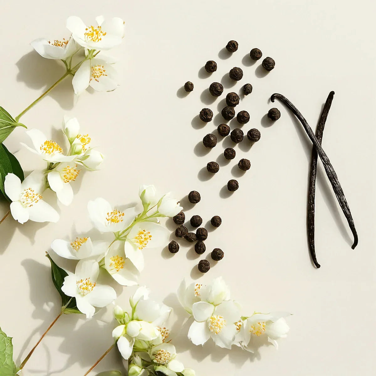 Floral and spicy fragrance notes with jasmine, black pepper and vanilla