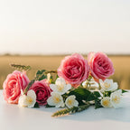 Olfactory notes of fresh rose and white jasmine in a field at sunset