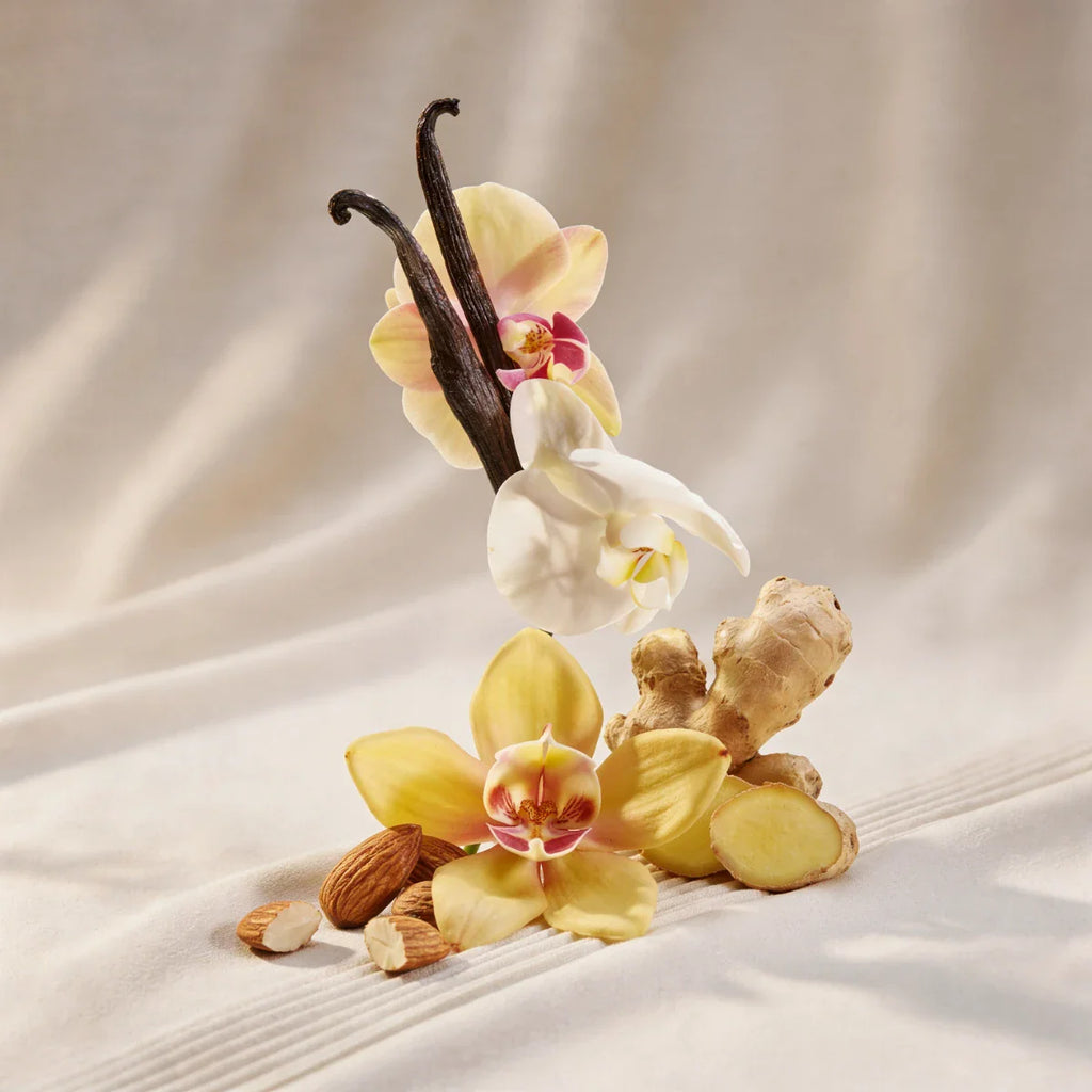 divain.1087 smell like TOP NOTES: Anise and ginger; HEART NOTES: Almond and floral notes; BASE NOTES: Vanilla and leather, Anise and ginger, Almond and floral notes