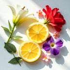 Citrus fruits, carnation and violet representing the olfactory notes of the perfume.