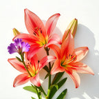 Violet and lily representing the olfactory notes of the perfume.