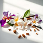 Perfume scent notes with purple iris, vanilla, cinnamon and tonka bean