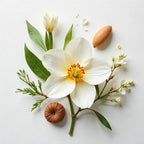 Peach blossom and champagne representing the olfactory notes of the perfume.