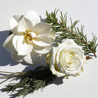 A gardenia and a white rose surrounded by cedar leaves representing the olfactory notes of the perfume.