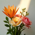 Bouquet of pink freesia, jasmine and cactus flower representing the olfactory notes of the perfume.
