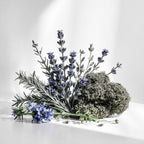 Rosemary, lavender and moss representing the olfactory notes of the perfume.
