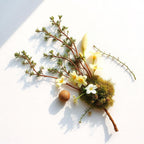 Orris root, coriander and moss representing the olfactory notes of the perfume.