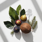 Fig leaves, fig and coconut representing the olfactory notes of the perfume.