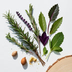 Mint, rosemary, bergamot and wood representing the olfactory notes of the perfume.