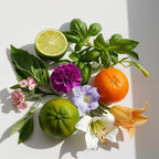 Lime, mandarin, carnation and coriander representing the olfactory notes of the perfume.