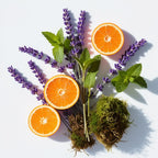 Mandarin, mint, lavender and moss representing the olfactory notes of the perfume.