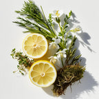 Perfume scent notes with lemon, white flowers, rosemary, thyme and moss