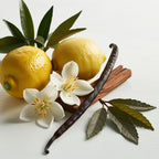 Lemon, cedar and vanilla representing the olfactory notes of the perfume.