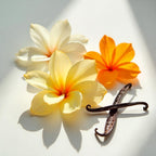 Orange blossom and leather representing the olfactory notes of the perfume.