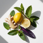 Lemon, mint and ginger representing the olfactory notes of the perfume.