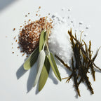 Sea salt, sage and seaweed representing the olfactory notes of the perfume.