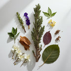 Cypress, violet and tobacco representing the olfactory notes of the perfume.