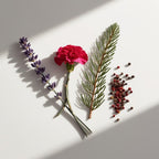 Lavender, pine, and pepper represent the olfactory notes of the perfume.