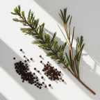 Cedar, juniper and pepper representing the olfactory notes of the perfume.