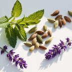 Bergamot, lavender and mint representing the olfactory notes of the perfume.