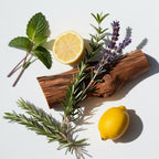 Lemon, mint, rosemary and wood representing the olfactory notes of the perfume.