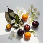 Citrus fruits, tobacco leaf and plum representing the olfactory notes of the perfume.