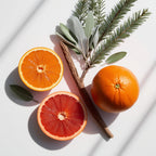 Orange, grapefruit and cedar representing the olfactory notes of the perfume.