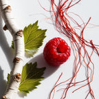 Raspberry, saffron and wood representing the olfactory notes of the perfume.