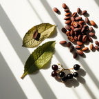 Cocoa, blackcurrants and patchouli representing the olfactory notes of the perfume.