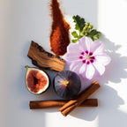 Perfume scent notes with fig, mallow flower, cinnamon, saffron and wood