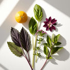 Bergamot, geranium and basil representing the olfactory notes of the perfume.