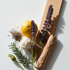 Citrus, lavender and cedar representing the olfactory notes of the perfume.