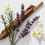 Lavender, jasmine and cedar representing the olfactory notes of the perfume.