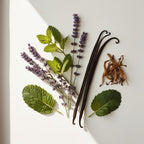 Lavender, mint, tobacco and vanilla represent the olfactory notes of the perfume.
