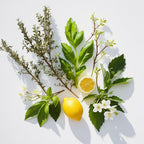 Lemon, jasmine and basil representing the olfactory notes of the perfume.