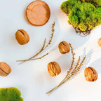Perfume scent notes with nuts, moss and wood