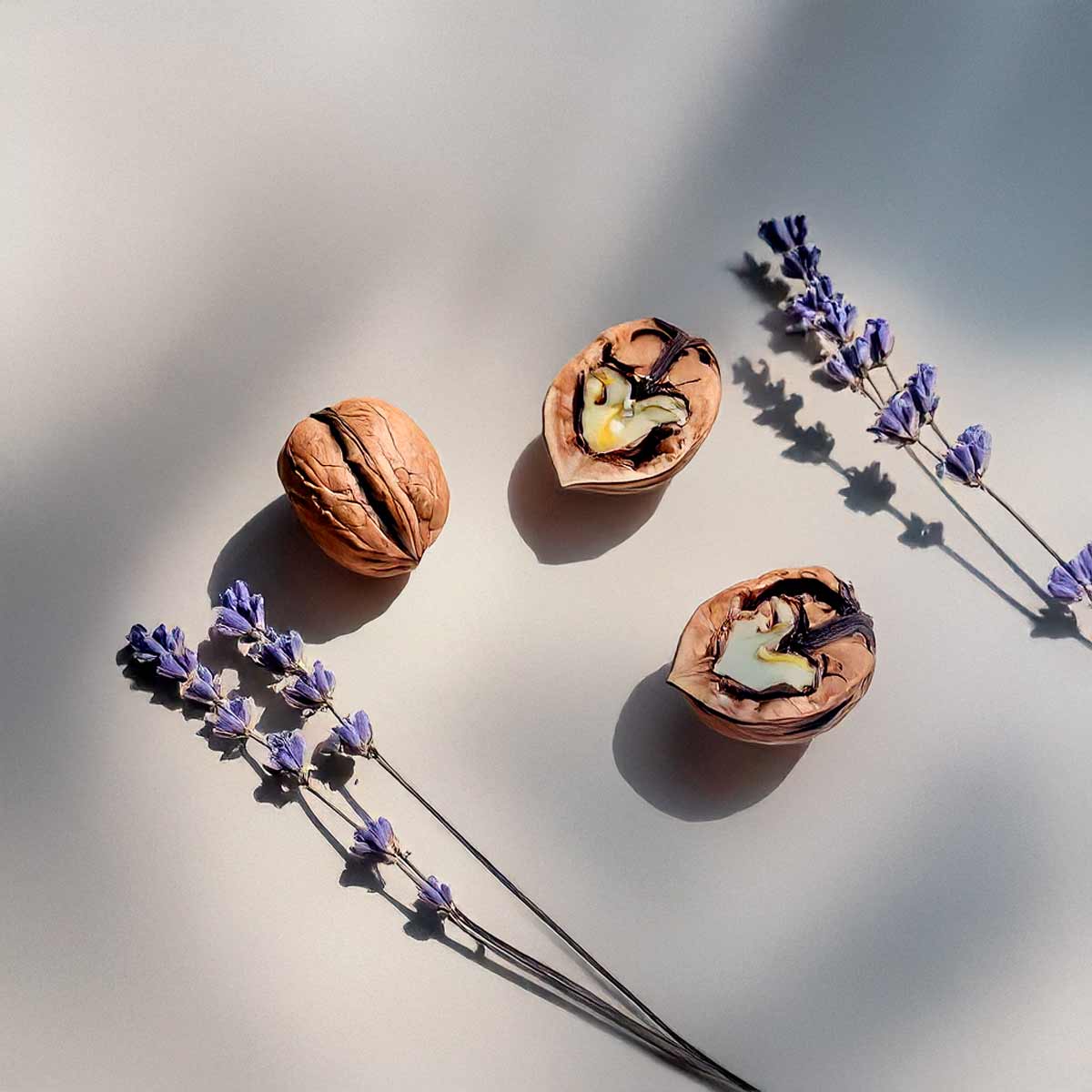 Olfactory notes of the perfume with fresh lavender with a warm base of nut and vanilla.