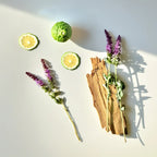 Olfactory notes of the perfume with fresh bergamot, aromatic lavender and a woody base.