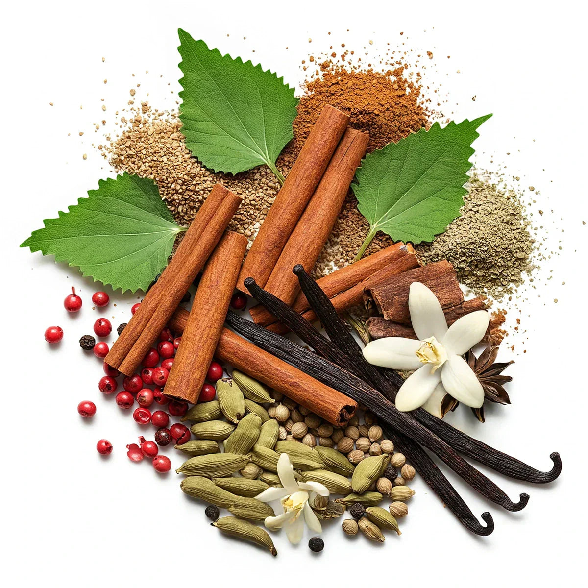 Olfactory notes of the perfume with spiced cinnamon, warm vanilla, aromatic cardamom and a touch of pink pepper.