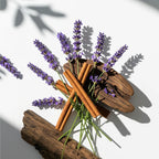 Olfactory notes of the perfume with aromatic lavender, spiced cinnamon and a background of warm woods.