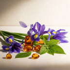 Olfactory notes of the perfume with elegant iris, fresh green leaves and a warm amber background.