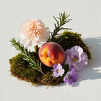 Peach, carnation, rosemary and moss representing the olfactory notes of the perfume.