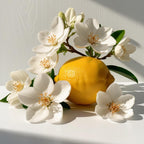 Lemon and jasmine representing the olfactory notes of the perfume.