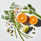 Mandarin, lime, bergamot and jasmine representing the olfactory notes of the perfume.
