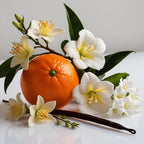 Jasmine, mandarin and vanilla representing the olfactory notes of the perfume.