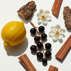 Lemon, wood and blackcurrants represent the olfactory notes of the perfume.