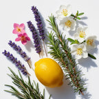 Lemon, lavender, jasmine and rosemary representing the olfactory notes of the perfume.
