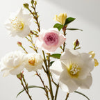 Tuberose and jasmine representing the olfactory notes of the perfume.