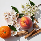 Mandarin, peach, jasmine and wood representing the olfactory notes of the perfume.